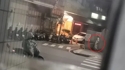 新北醉男幫老闆遛狗　竟持棍K牠出氣！網友大罵「一定鐵棒回送」