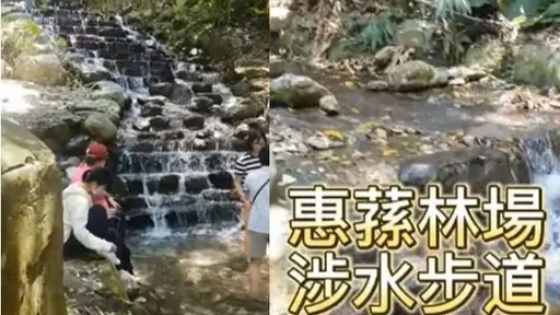 惠蓀林場逍遙遊！涉水步道戲水　夏日消暑好去處