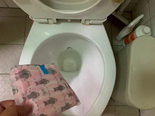 女房客馬桶堵塞「通出衛生棉」！她喊冤：不是我　鬧上法院結果是這樣