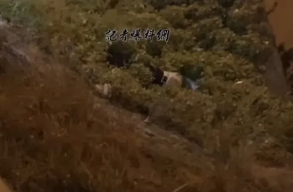 遭撞擊機車彈飛到護欄外。翻攝記者爆料網