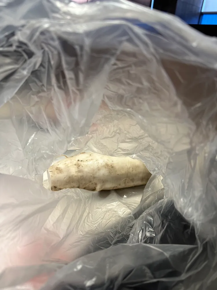 海底撈火鍋京站店的白蘿蔔檢出農藥殘留。北市衛生局提供