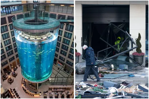 柏林商場內14公尺高巨型魚缸突爆炸 1500條魚游到大馬路