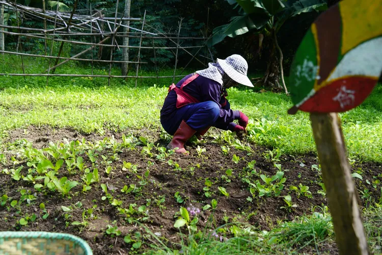 「捌個零社會企業」鼓勵部落族人找回傳統耕作模式，在工作園區內也以有機方式耕作農地。捌個零社會企業提供
