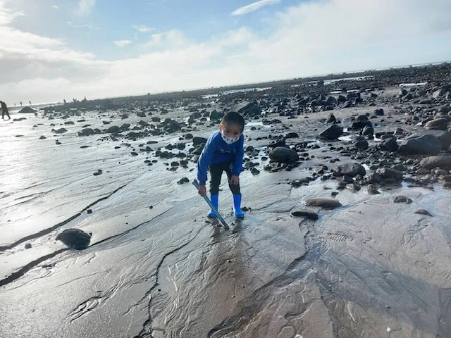 民眾一同參加淨灘活動。淡水漁會提供