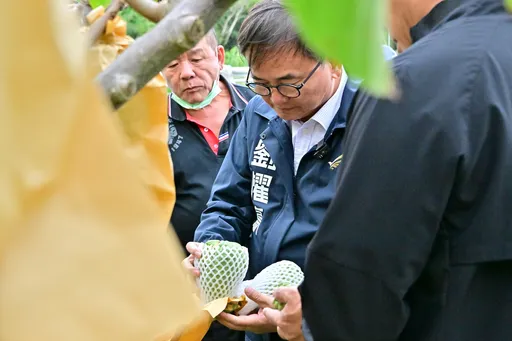 时冷时热!台东凤梨释迦落果灾损 刘櫂豪邀农粮署、农改场实地现勘