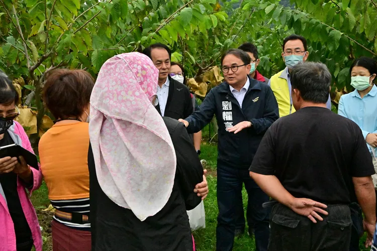 立委劉櫂豪前往卑南鄉視察鳳梨釋迦果園落果災損。劉櫂豪立委辦公室提供
