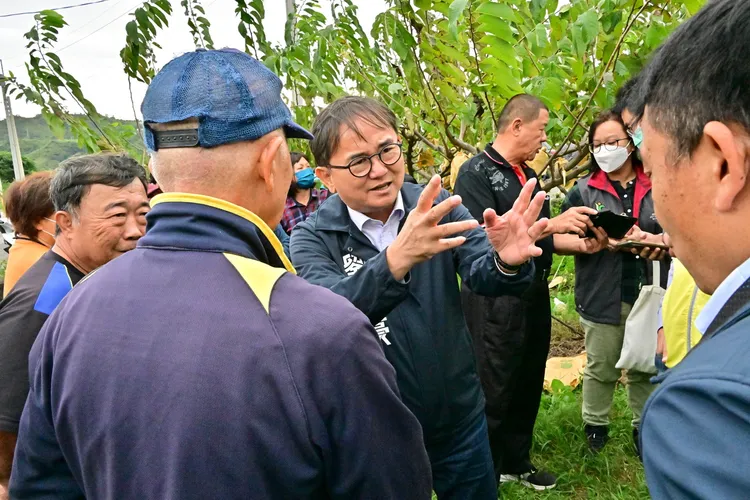 立委劉櫂豪前往卑南鄉視察鳳梨釋迦果園落果災損。劉櫂豪立委辦公室提供