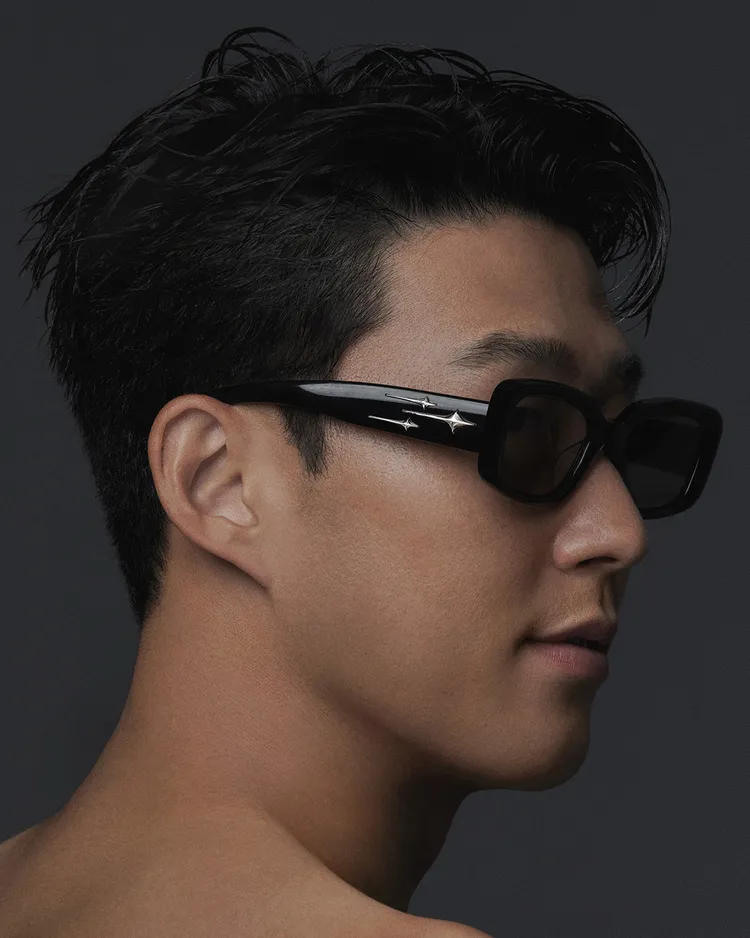 系列鏡臂前端都鑲嵌有該系列獨特的金屬標誌，猶如彗星慧尾。品牌提供