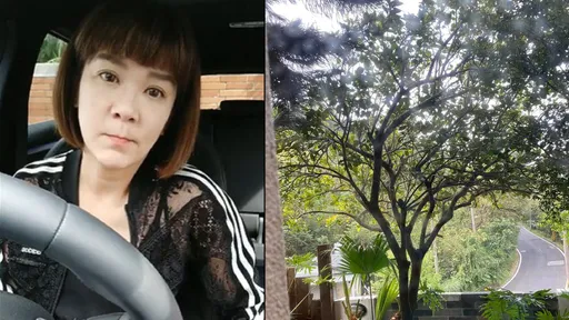 女星開車驚見機車「犁田」險撞山壁　嚇到全身發抖：他躺在我的輪胎邊