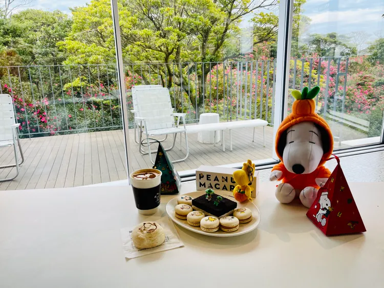 咖啡廳販售馬卡龍、麵包、蛋糕、咖啡拿鐵等小點、飲品。FB「凱西看韓國找맛집」提供