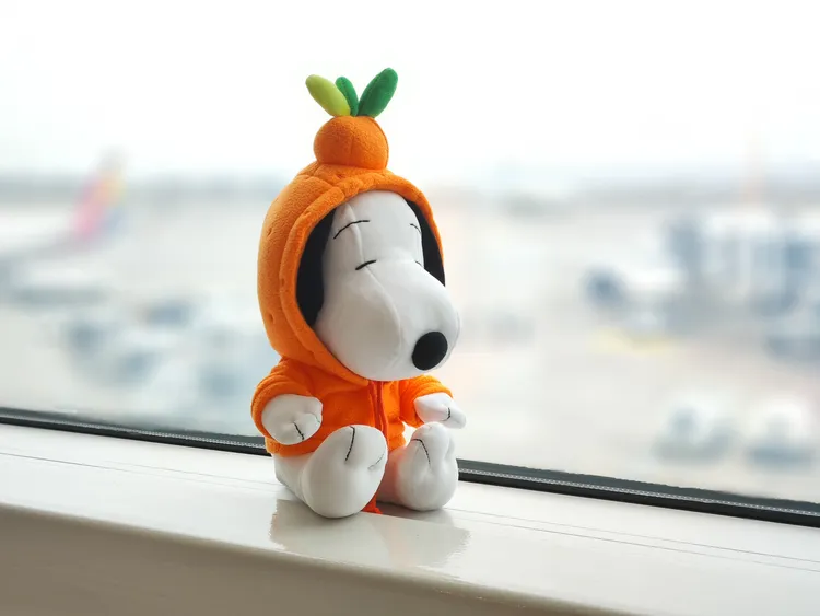 最推薦的人氣禮品，是符合在地特色、穿著濟州橘子裝的史努比玩偶。田欣雲攝