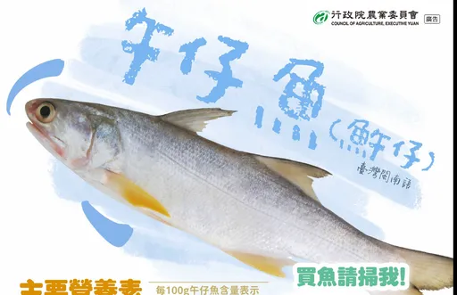 吃過「午仔魚」嗎?禁止輸中意外掀熱議 老饕曝:驚為天人超美味!缺點只有「這個」