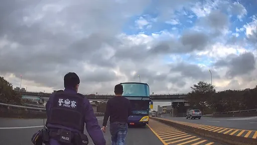 桃園男大馬路上演人肉攔車　「醉」丟臉！竟是想幹這事遭警開罰