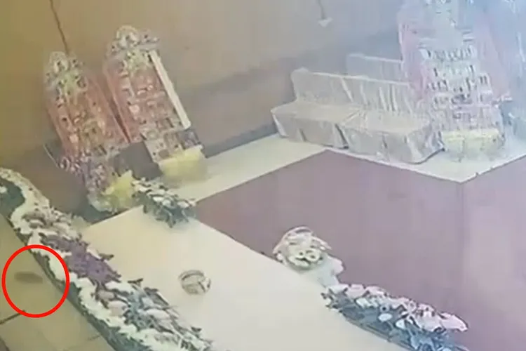 殯儀館的靈堂花海遭破壞，結果警方查出，凶手竟是老鼠。讀者提供