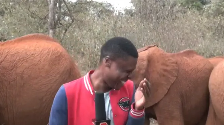 記者爆笑出來，再也講不下去了。法新社