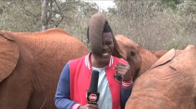 象鼻遮住記者半張臉。法新社