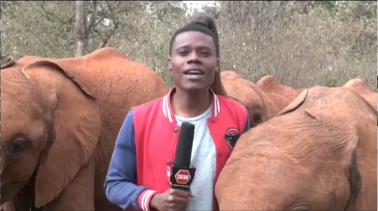 摸完耳朵摸腦門「灌頂」。法新社