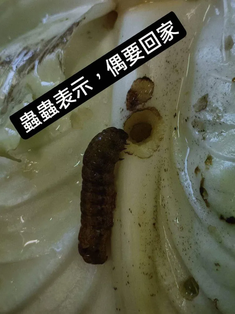 看出牠求生慾望。引自「爆怨公社」