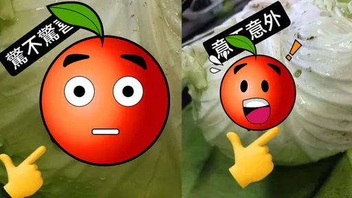 圖多慎入! 她一個善念不殺生! 沒想到結局悲劇了