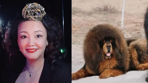 真的好心被狗咬!S妈祝福汪小菲 张兰爆气自比藏獒「一口给你吞了」