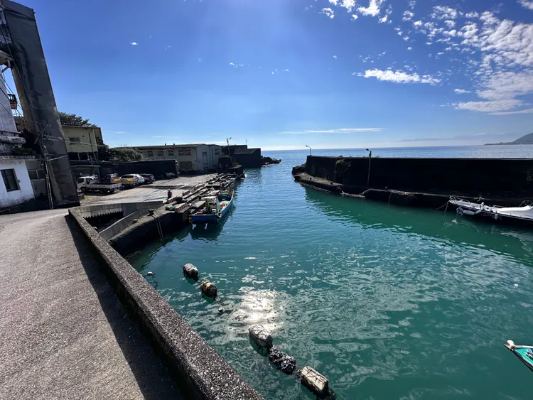 事發的大溪漁港舊港。林泊志攝