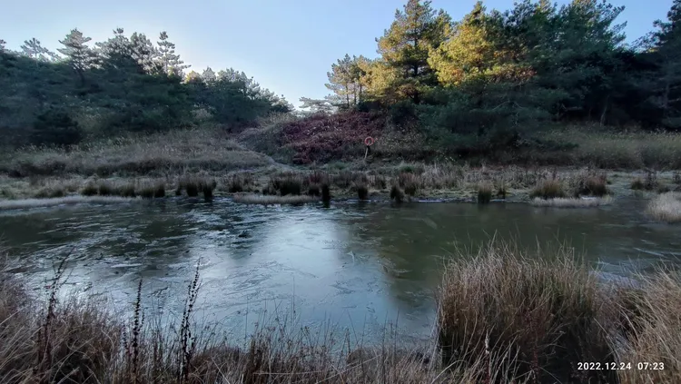 氣溫急凍梨山地區最低來到零下4度。民眾提供