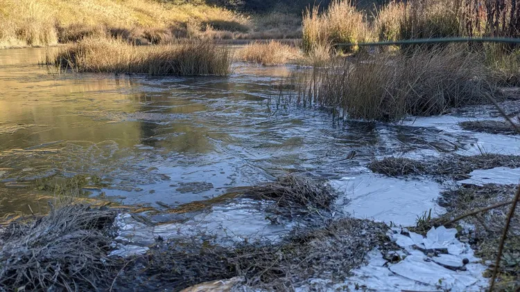 露營區的藍茵湖水面也結成厚厚一層冰。民眾提供