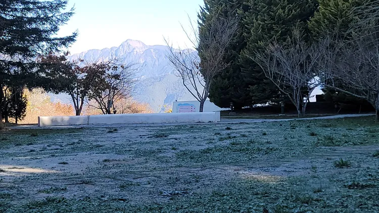 草地上也都結成一片冰霜。民眾提供