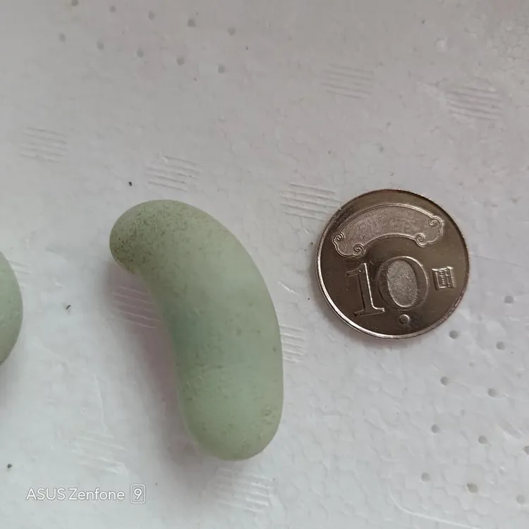 變形蛋形狀如腰果，網友稱奇。陳俊宏提供