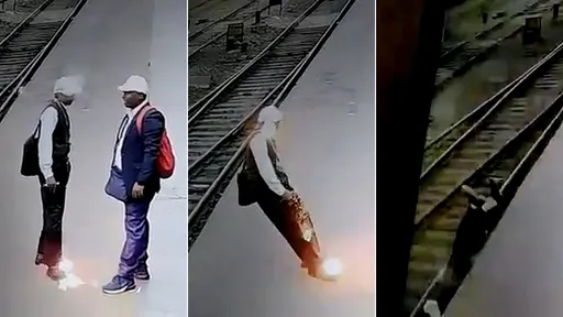 驚悚影片|月台喇賽突「頭腳冒火」倒栽墜軌 兇手竟是一隻鳥