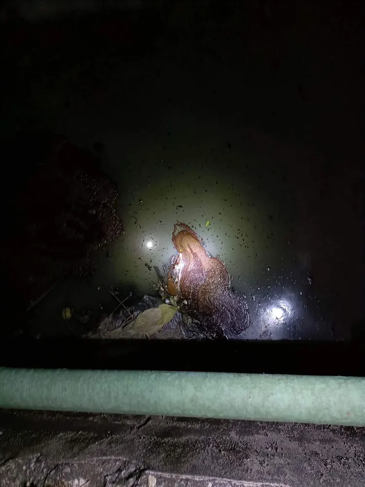 大排水溝的水面上漂浮著散發出惡臭的重油。讀者提供