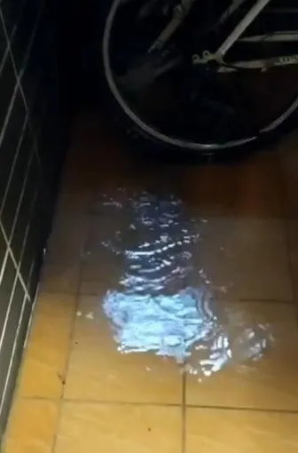 一般人很難評估影響範圍及修繕費用，買房一旦發現有漏水情形，建議在簽約前請專業的抓漏師傅現場做勘估，務必確認後續修繕方式、費用等問題，如此才能買的安心。資料畫面