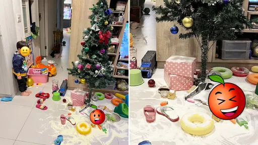 媽媽精心布置聖誕樹！兒天真幫灑「雪」　唯美畫面卻讓她超崩潰