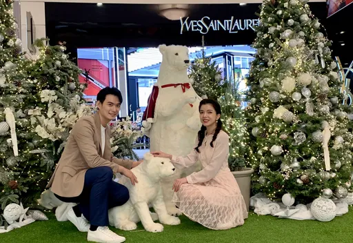 台北101史上最長雙跨年活動開跑 101棵聖誕樹美翻信義區