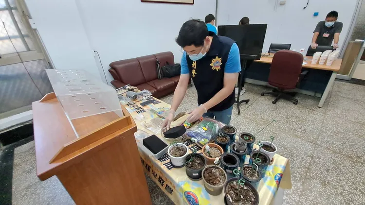 警方查扣大麻植株、大麻葉成品、乾燥用吹風機及栽種器具一批。讀者提供