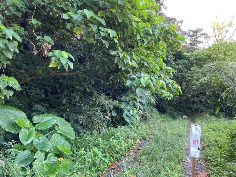 台北分署查封高姓男子土地。行政執行署台北分署提供