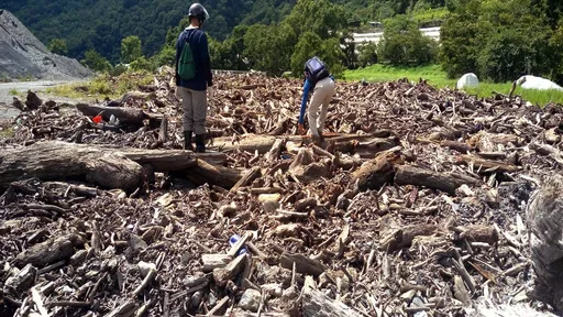 雲林人限定!今明兩天快登記 下次颱風來漂流木合法撿