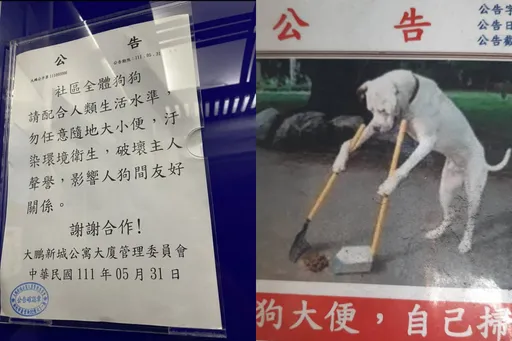 社區這一紙公告被讚高招！　網友笑：把養狗的全罵遍了 卻沒留證據