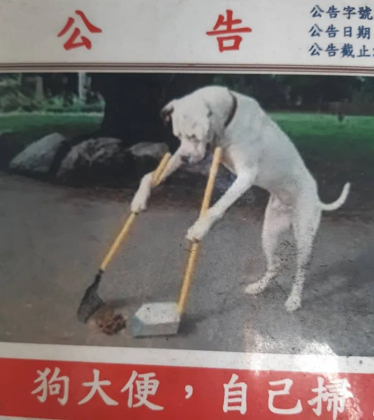 也有網友貼出其他社區呼籲狗大便自己掃的公告。翻攝《路上觀察學院》社團