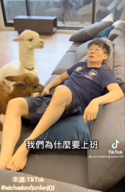 唉唷，這氣勢粉有GUTS～是不是好想要知道阿公回了這句話後的下場（求後續plz）。TikTok@michaelandjordan101 提供