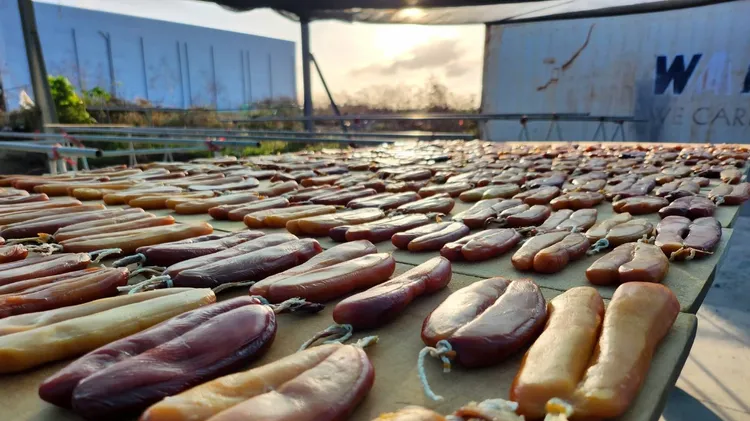 產地目前8兩重大烏魚子每台斤已逾千元。魏嘉良攝