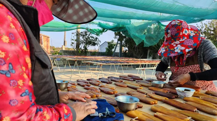 養殖業者指出今年烏魚產量減少，烏魚子價格已上漲逾2成。魏嘉良攝
