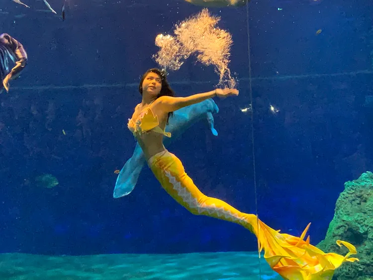 全台唯一真人實境美人魚與海牛共游的演出體驗「美人魚的神秘傳說」。遠雄海洋公園提供