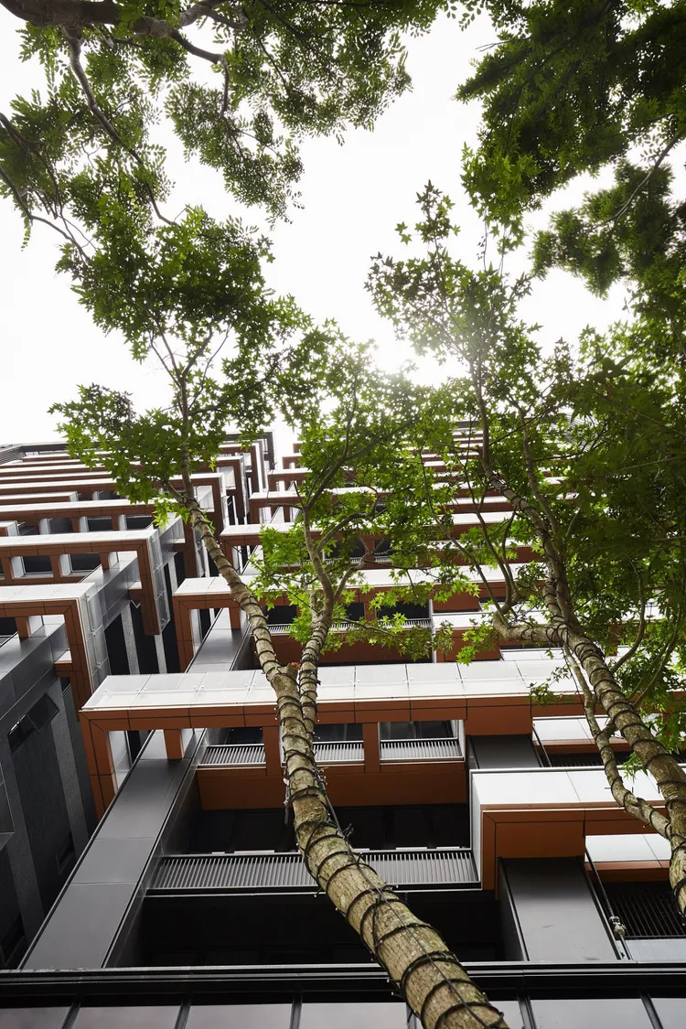 宋逸民夫婦傳砸億元購入文山區2戶豪宅。翻攝建案臉書