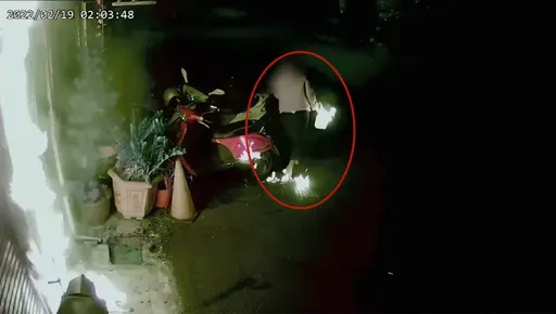 狂女不滿男友提分手　半年來10度報復！砸車潑漆還提汽油縱火