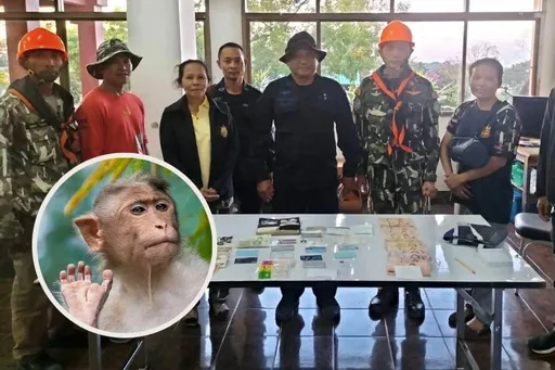 貴婦登山遭搶5萬鈔票扔下懸崖　熱心護林員垂降尋回