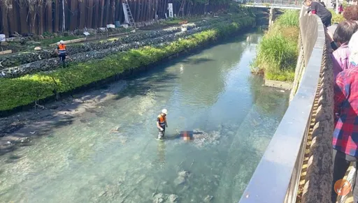 逆子弒父分屍成「人彘」　全是為了保護媽！藏屍9天再肢解下場出爐