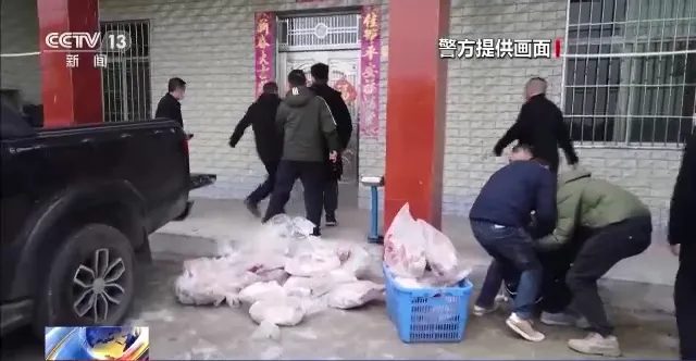 警方逮捕4名嫌犯。翻攝環球網