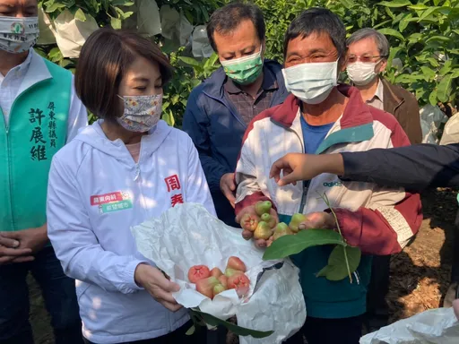 周春米第一个行程勘莲雾寒害 要求农保条件要修正