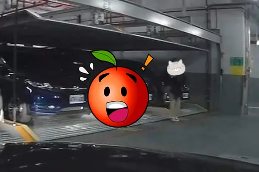 這車主太狠了！機械停車場「瀟灑」停車　網驚：到時賠得豪邁